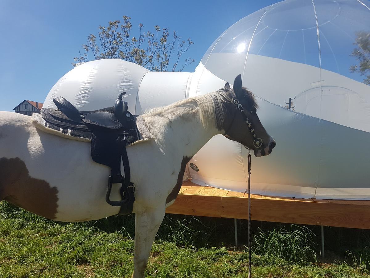 Coachella ξενώνας Lanouaille Εξωτερικό φωτογραφία